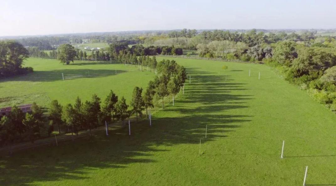 Terreno en venta - 5.866mts2 - Estancia Las Malvinas, Coronel Brandsen
