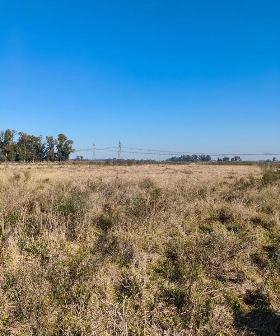 Campo en venta - 83.000Mts2 - Florencio Varela