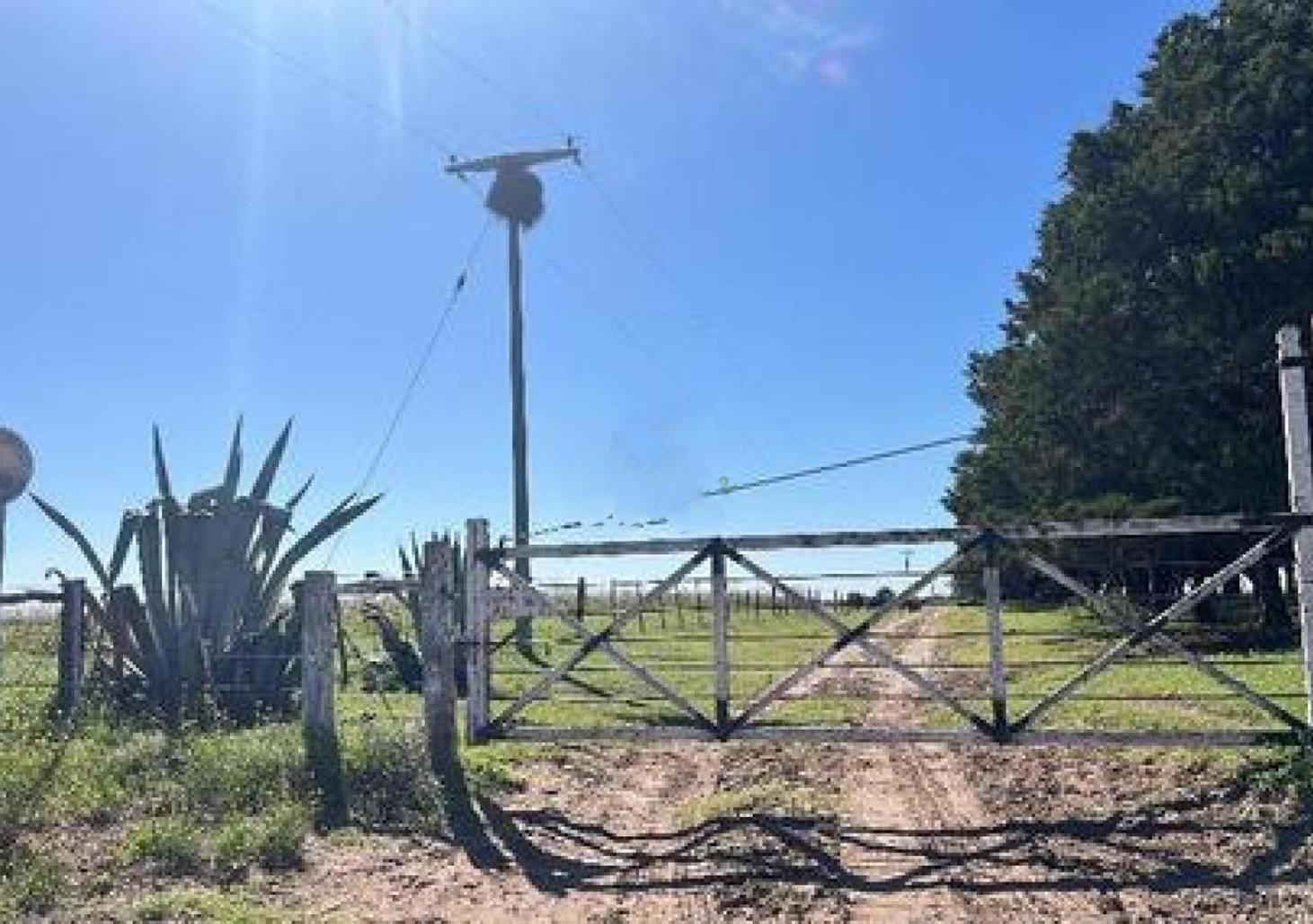 Campo en venta - 521 Hectáreas - La Pampa