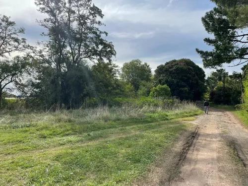 Terreno en venta - 5.774Mts2 - Dolores