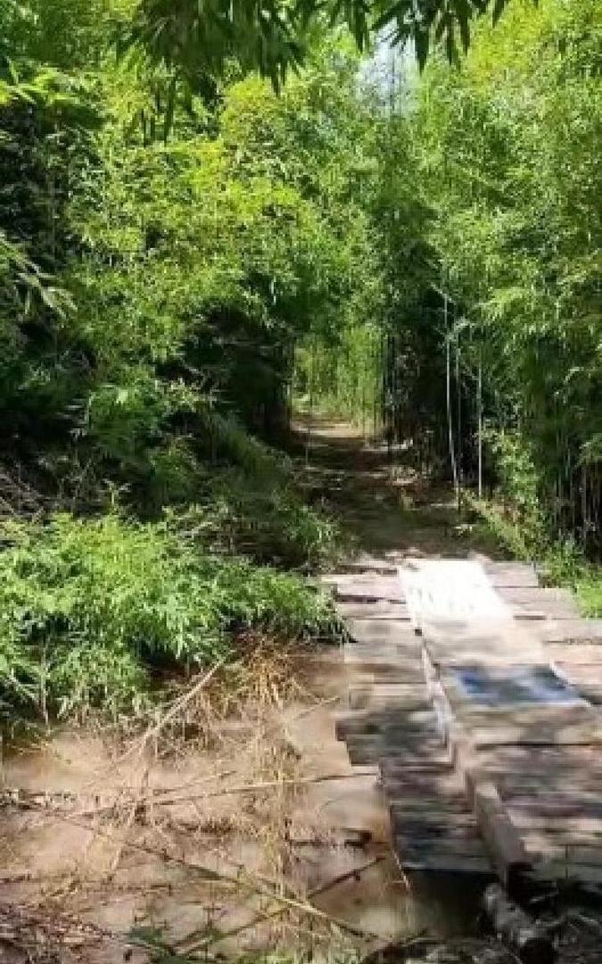 Terreno en venta - 2.798Mts2 - Ingeniero Maschwitz