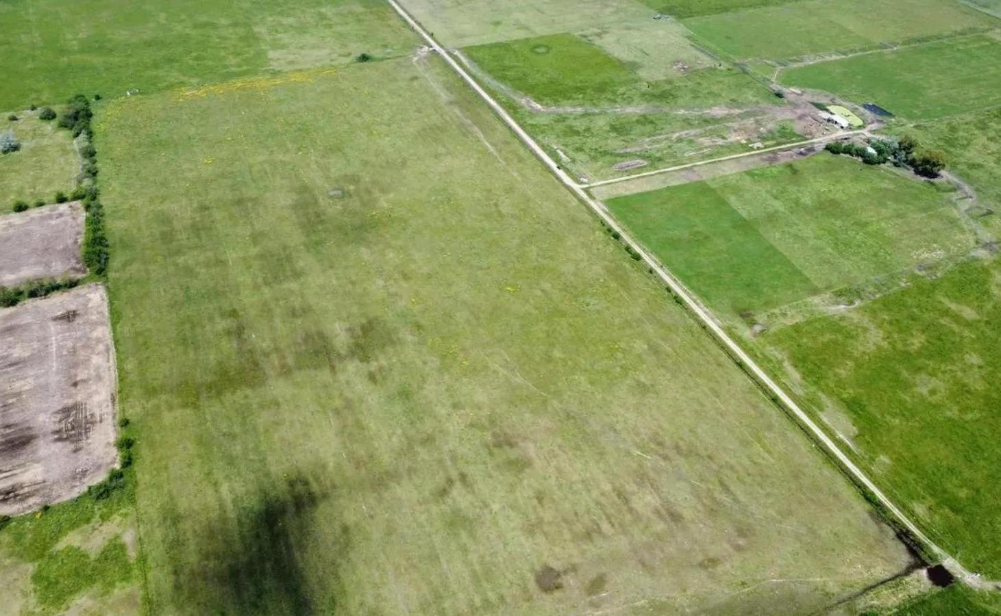 Foto de Campo en venta - 163.400Mts2 - Navarro, imagen 5