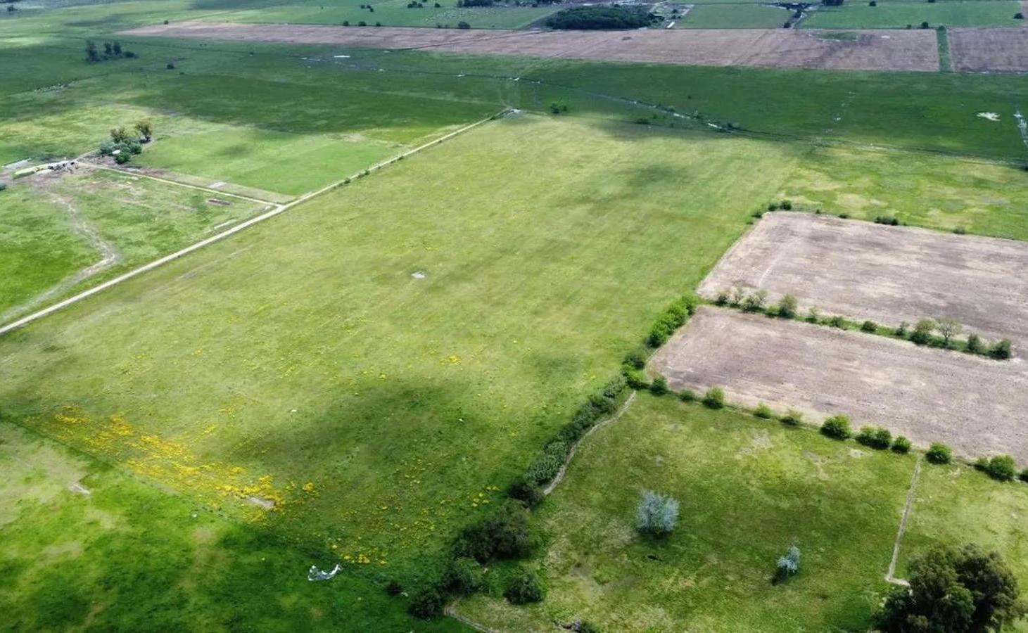 Foto de Campo en venta - 163.400Mts2 - Navarro, imagen 2