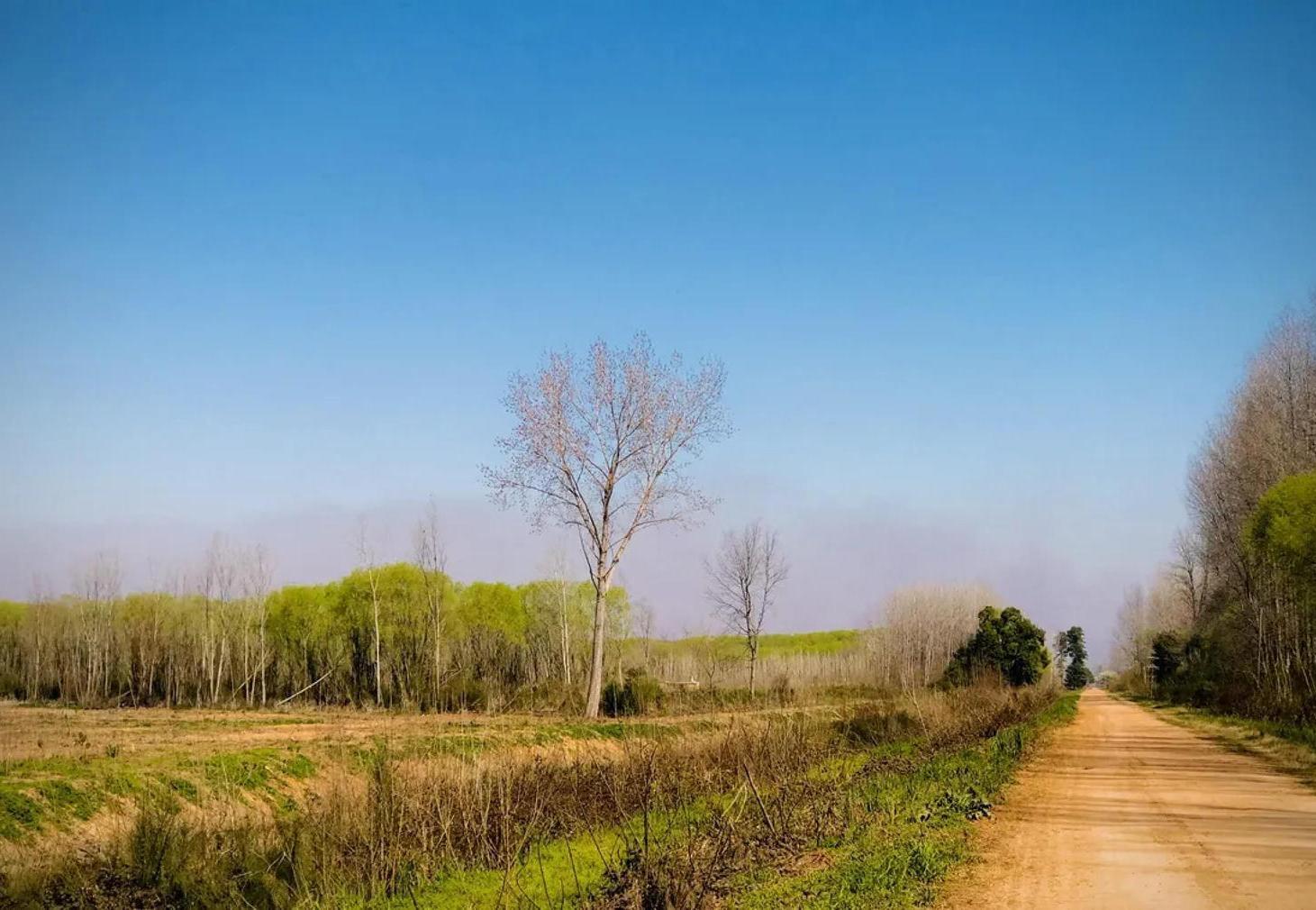 Campo en venta - 81.499Mts2 - Campana