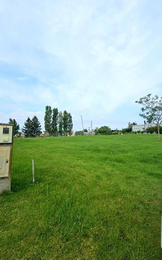 Terreno en venta - 800mts2 totales - San Lucas
