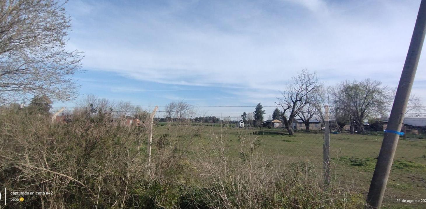 Terreno en venta - 1500Mts2 - Lima, Zarate