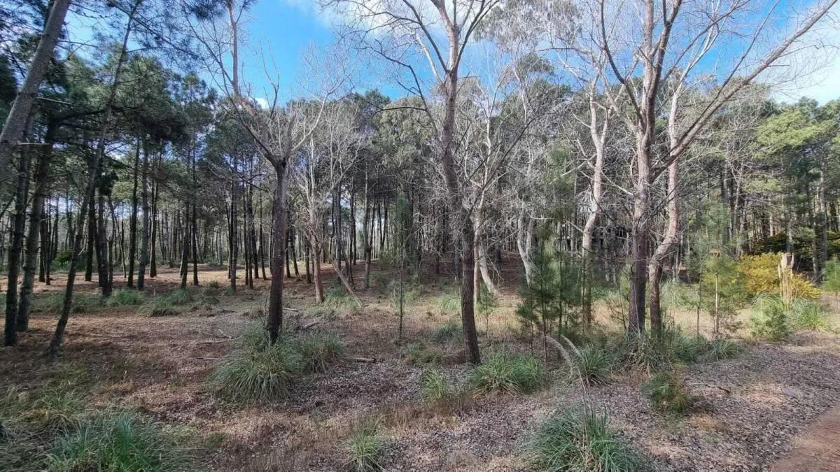 Terreno en venta - 1047mts2 - Villa Robles, Pinamar