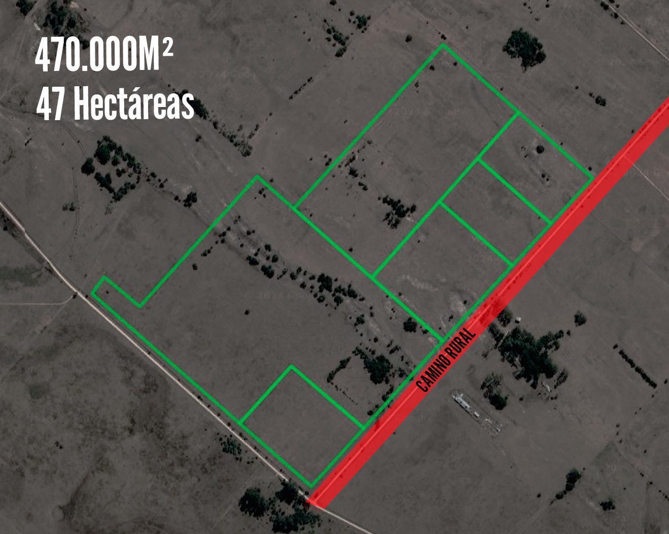 Campo en venta - 470.000Mts2 - 47 Hectáreas - Magdalena, Atalaya