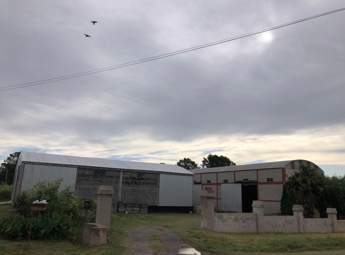 Galpones en venta - 1.500Mts2 - Tandil