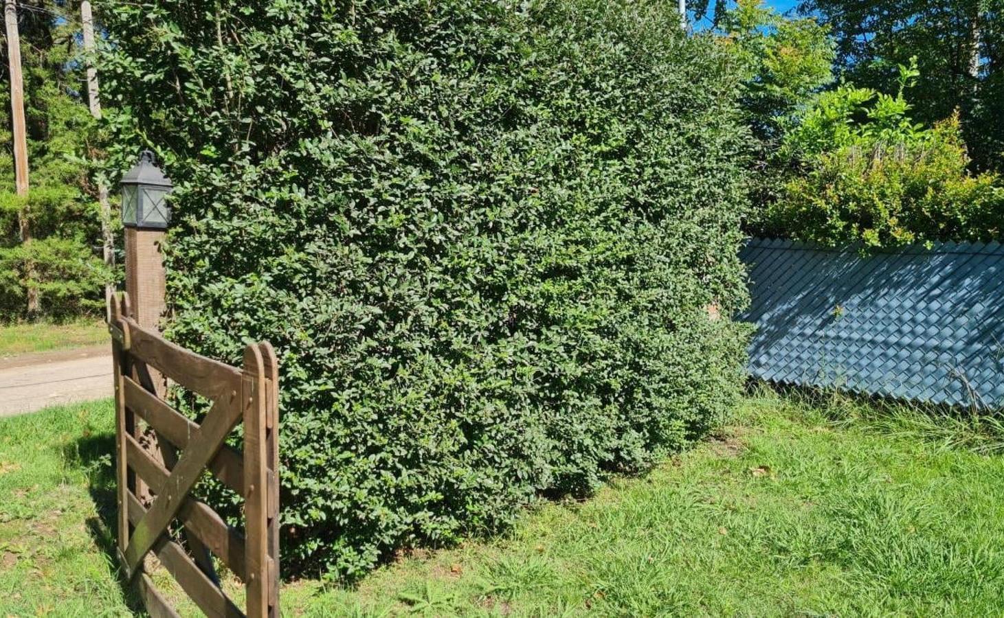 Terreno en venta - 800Mts2 - Exaltación de La Cruz
