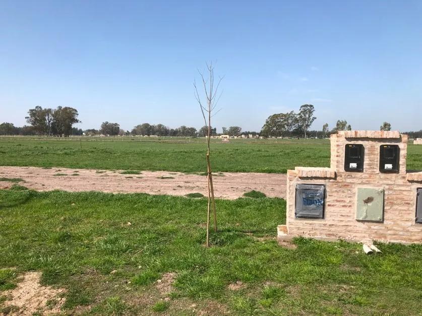 Terreno en venta - 840mts2 - Haras Del Sur V