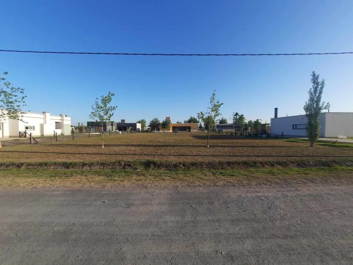 Terreno en venta - 1278Mts2 - Fincas de San Vicente