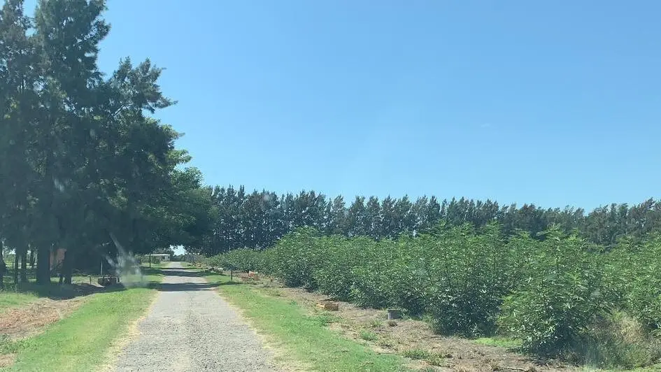 Quinta en venta - 2 Dormitorios 1 Baño - 100.000Mts2 - Florencio Varela 1