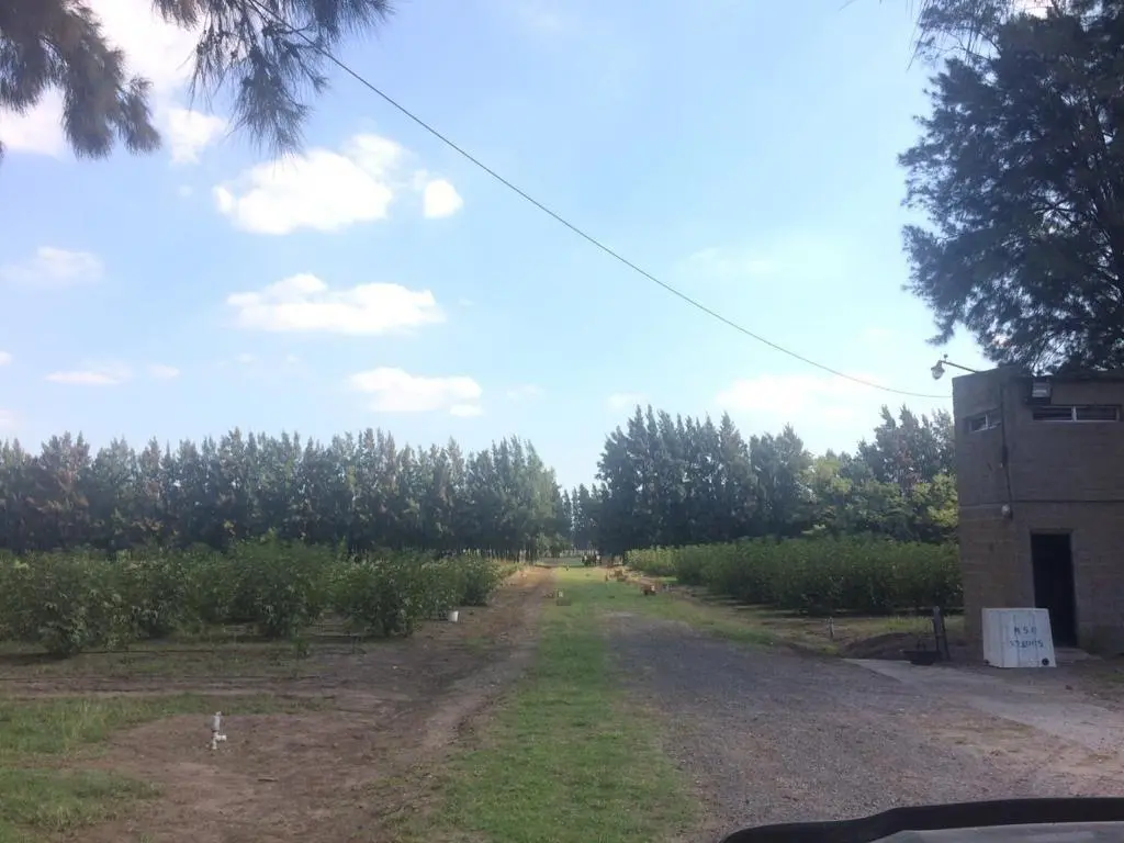 Quinta en venta - 2 Dormitorios 1 Baño - 100.000Mts2 - Florencio Varela 4