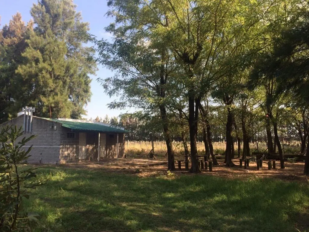 Quinta en venta - 2 Dormitorios 1 Baño - 100.000Mts2 - Florencio Varela 2