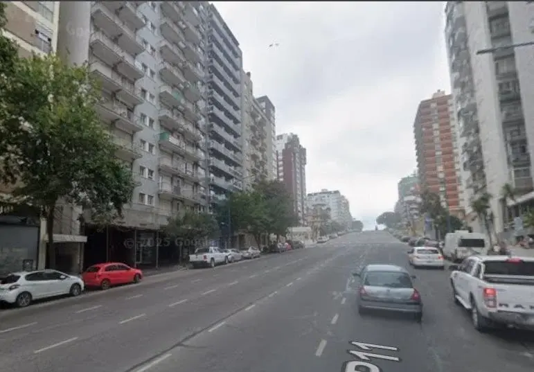 Departamento monoambiente en alquiler - 1 Baño - Mar del Plata 5