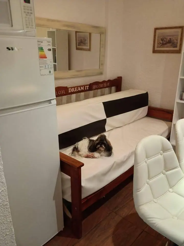 Departamento en venta - 1 Dormitorio 1 Baño - Mar del Plata 5
