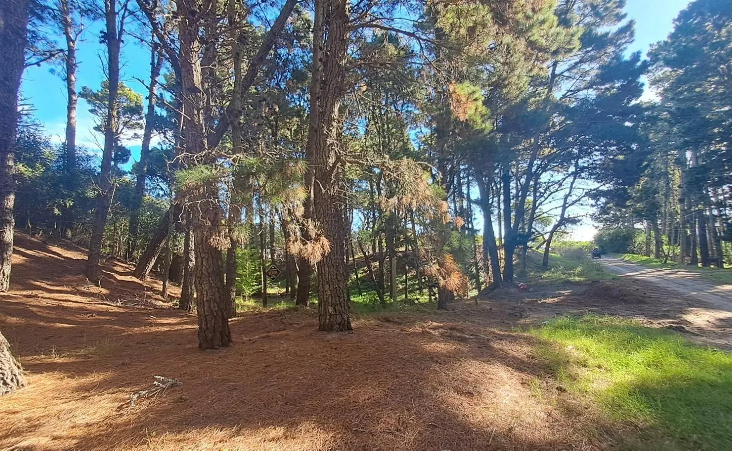 Terreno en venta - 600Mts2 - Villa Gesell 5