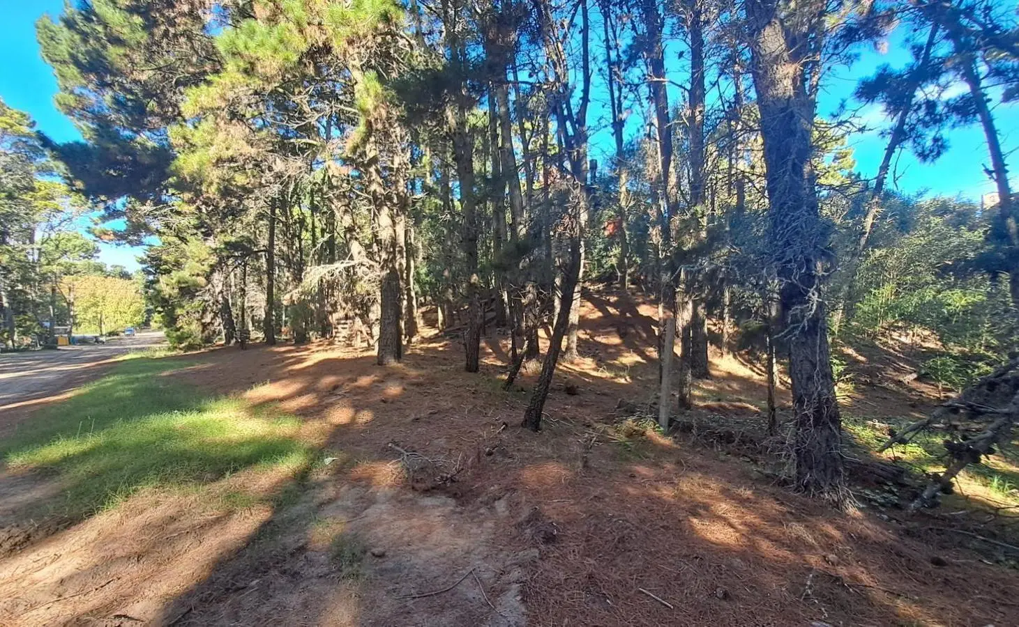 Terreno en venta - 600Mts2 - Villa Gesell 4