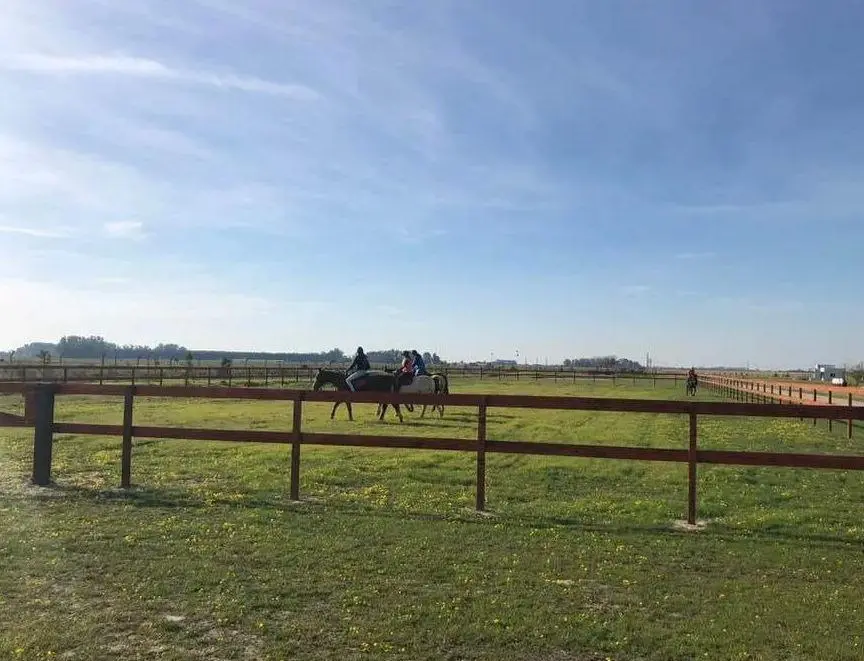 Terreno en venta - 1000mts2 - Coronel Brandsen 4