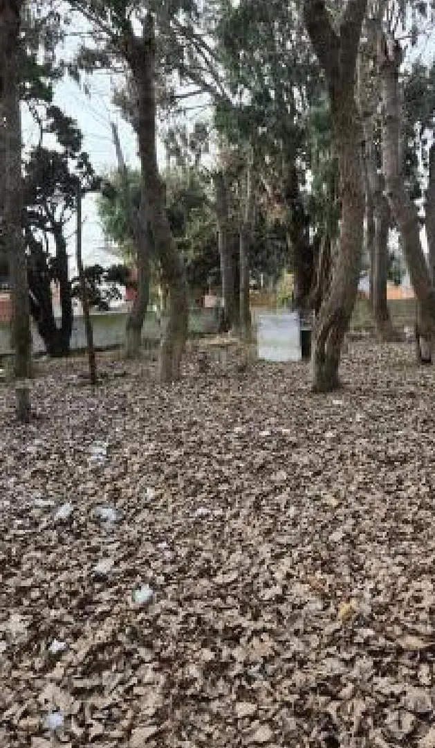 Terrenos en venta - 800Mts2 - San Bernardo del Tuyú 5