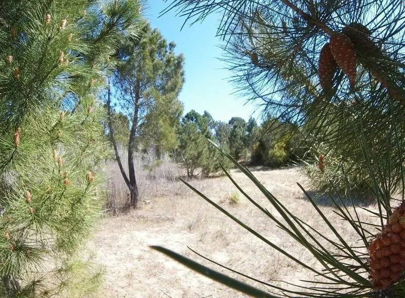 Terreno en venta - 695.5Mts2 - Miramar 4