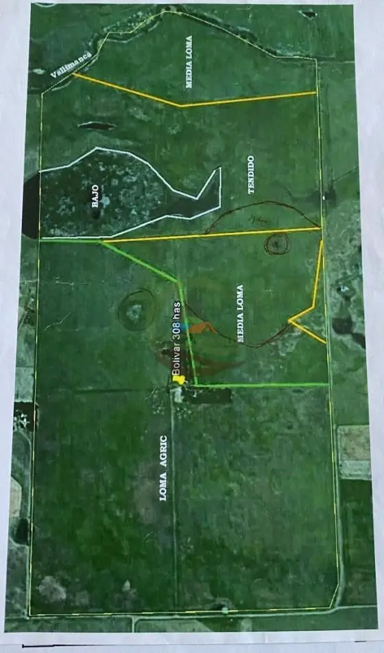 Campo en venta - 3300000Mts2 - Bolivar 2