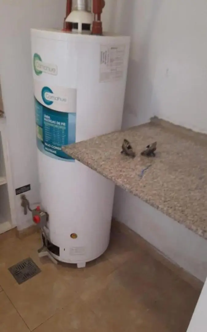 Departamento en venta - 1 Dormitorio 1 Baño - La Plata 3