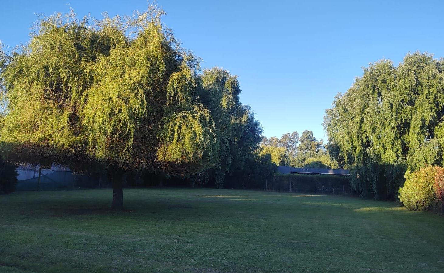 Terreno en venta - 982,12mts2 - La Plata