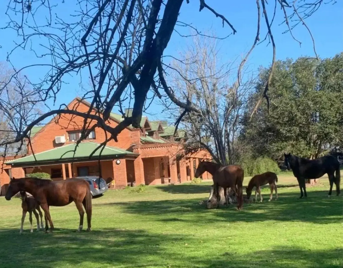 Casa en venta - 4 Dormitorios 4 Baños - 120.000Mts2 - Luján 5