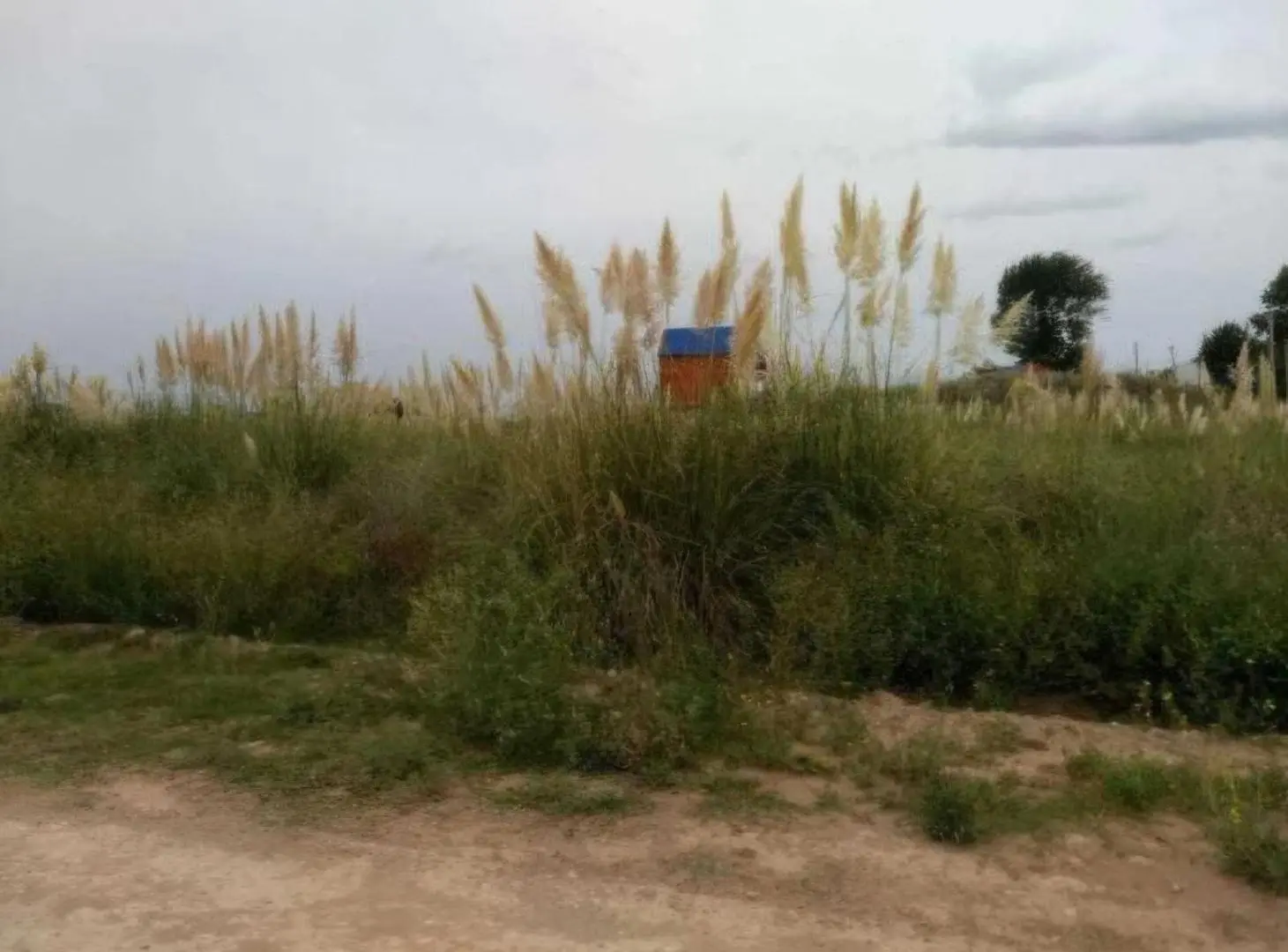 Terreno en venta - 445mts2 - Balneario Marisol, Coronel Dorrego 2