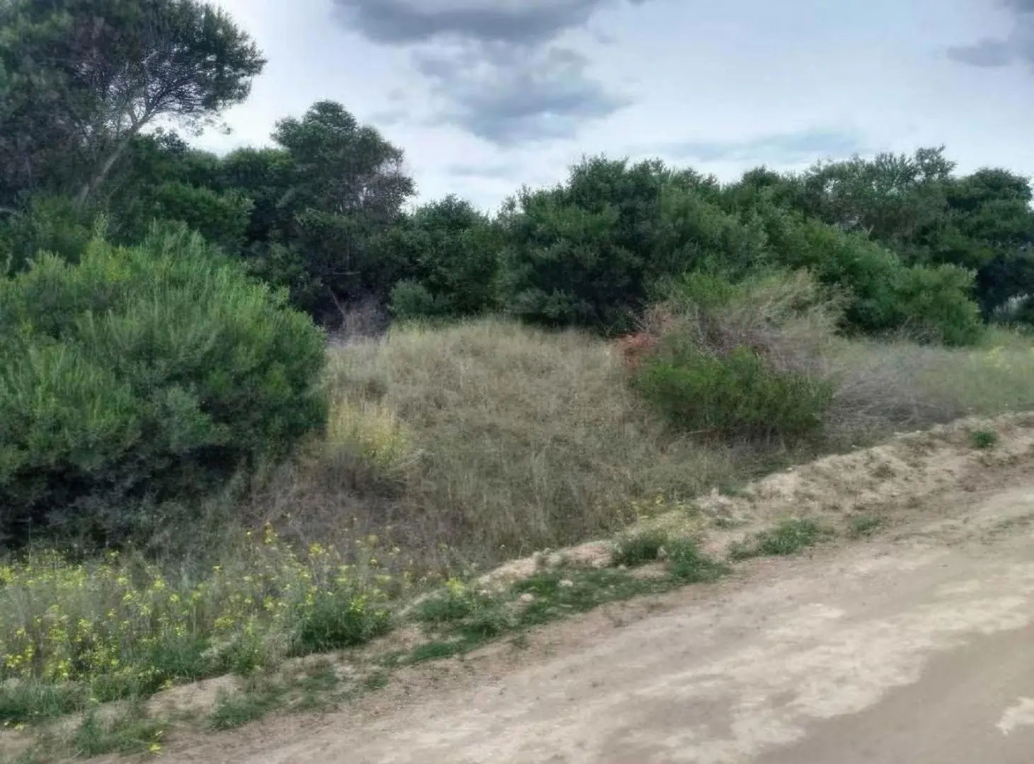 Terreno en venta - 445mts2 - Balneario Marisol, Coronel Dorrego 4