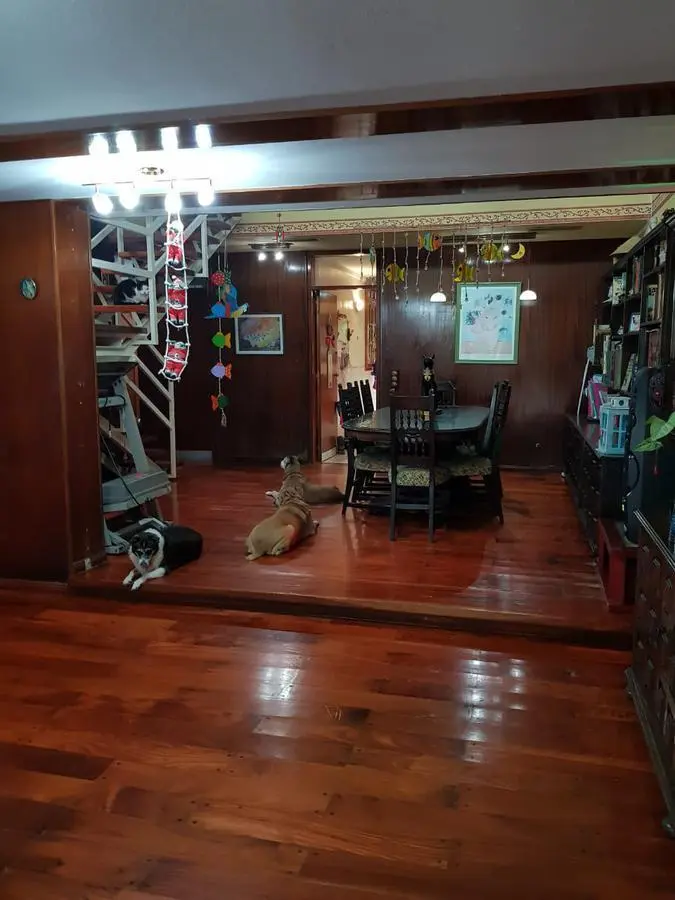Casa y terrenos en venta - 3 dormitorio 2 baños - 600mts2 - General San Martin 2