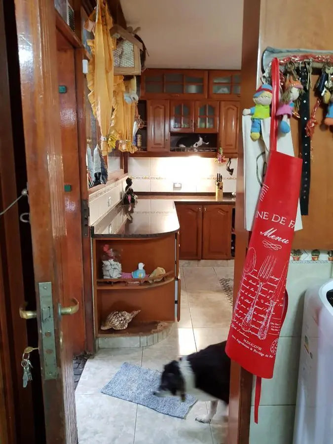 Casa y terrenos en venta - 3 dormitorio 2 baños - 600mts2 - General San Martin 3