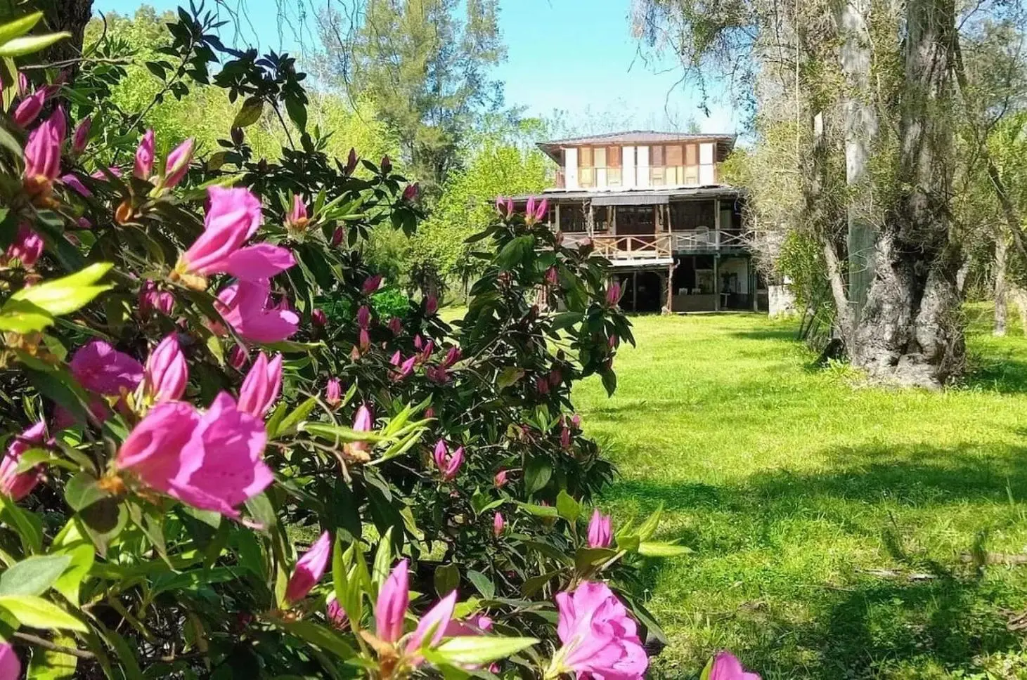 Casa en venta - 4 Dormitorios 2 Baños - Tigre 4