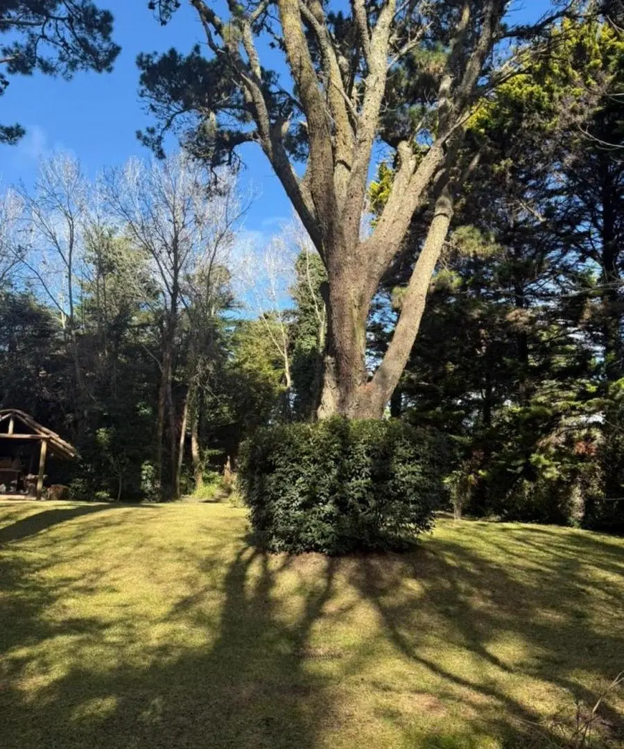 Terreno en venta - 1.200Mts2 - Cariló 5