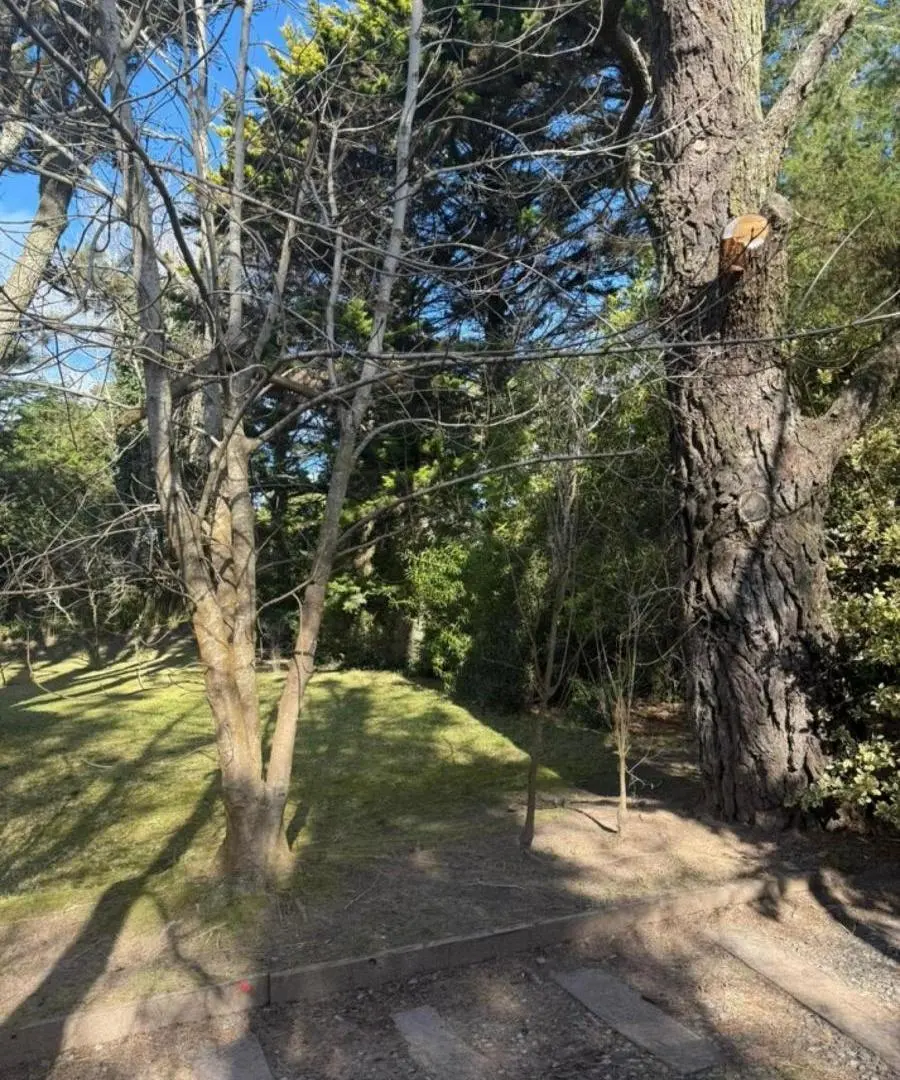 Terreno en venta - 1.200Mts2 - Cariló 4