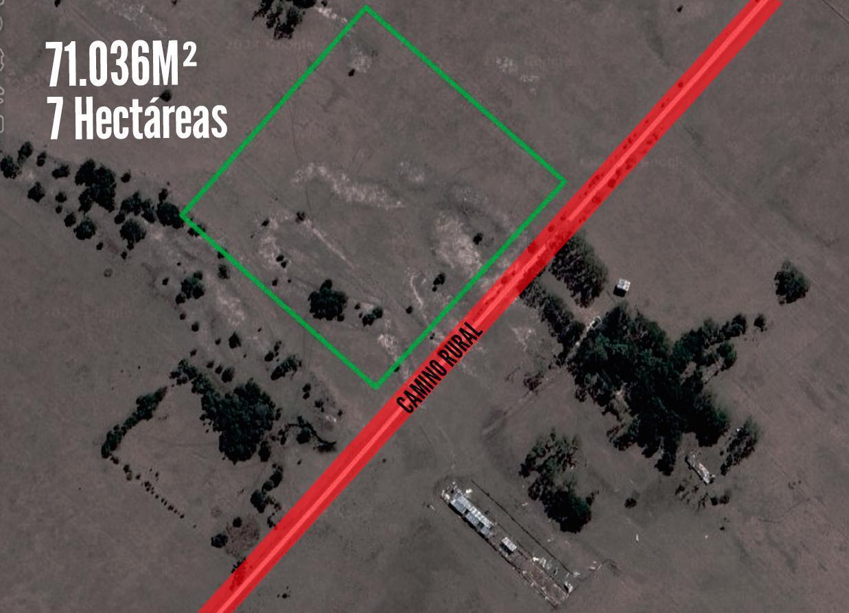 Campo en venta - 71.036Mts2 - 7 Hectáreas - Magdalena, Atalaya