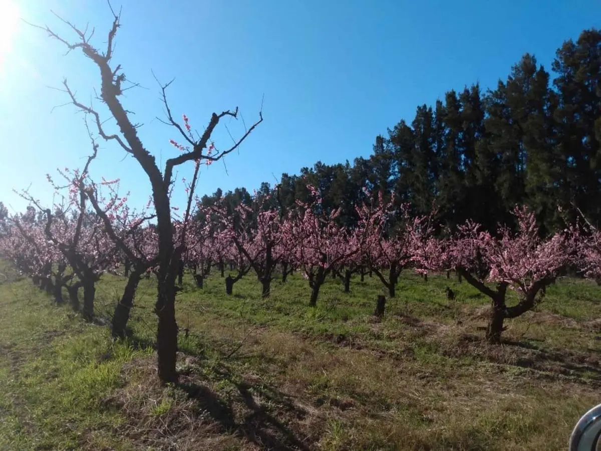 Terrenos en Venta - 1200mts2 - San Pedro 5