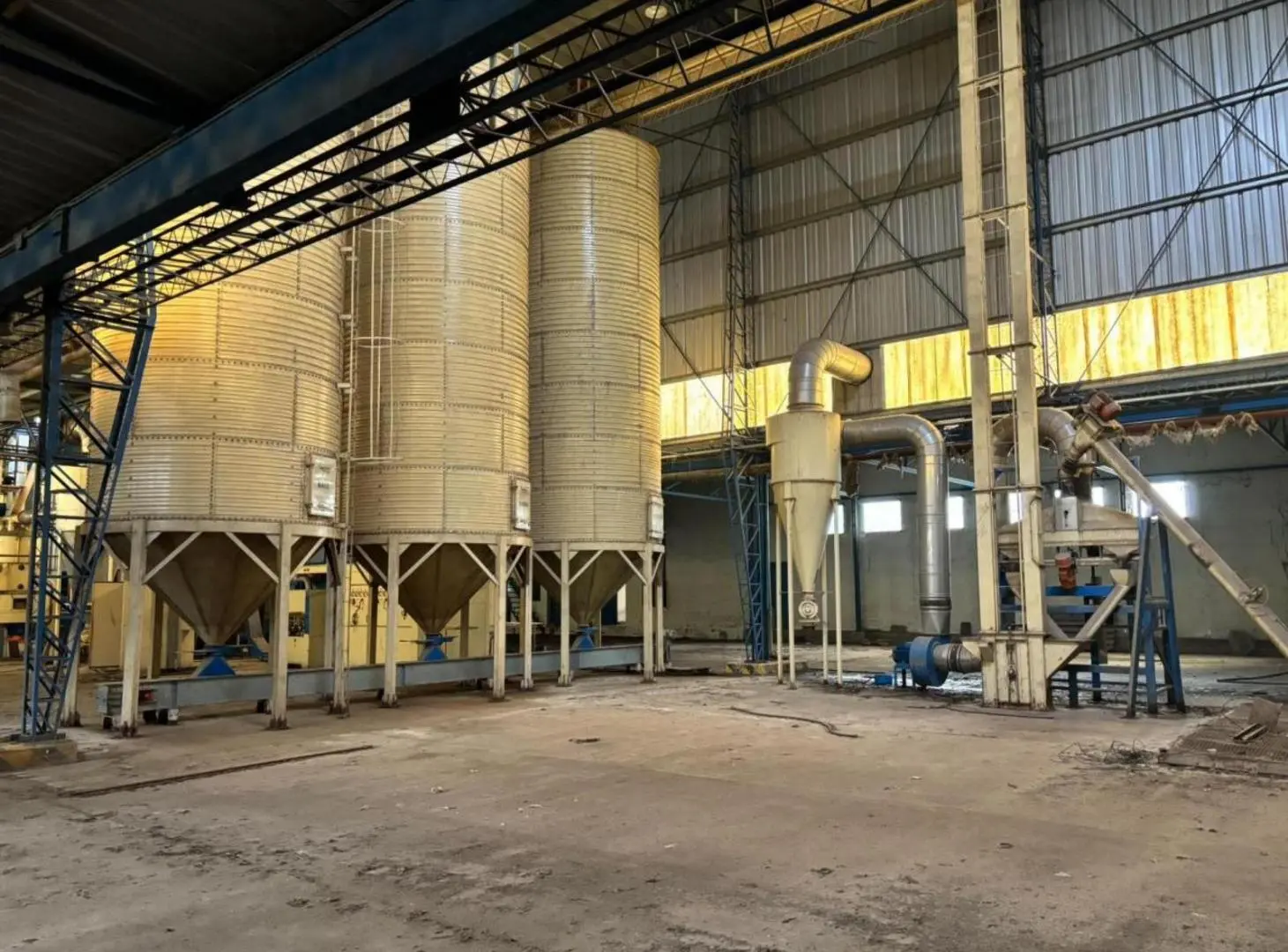 Galpón en venta - 2 Naves - Chivilcoy 5