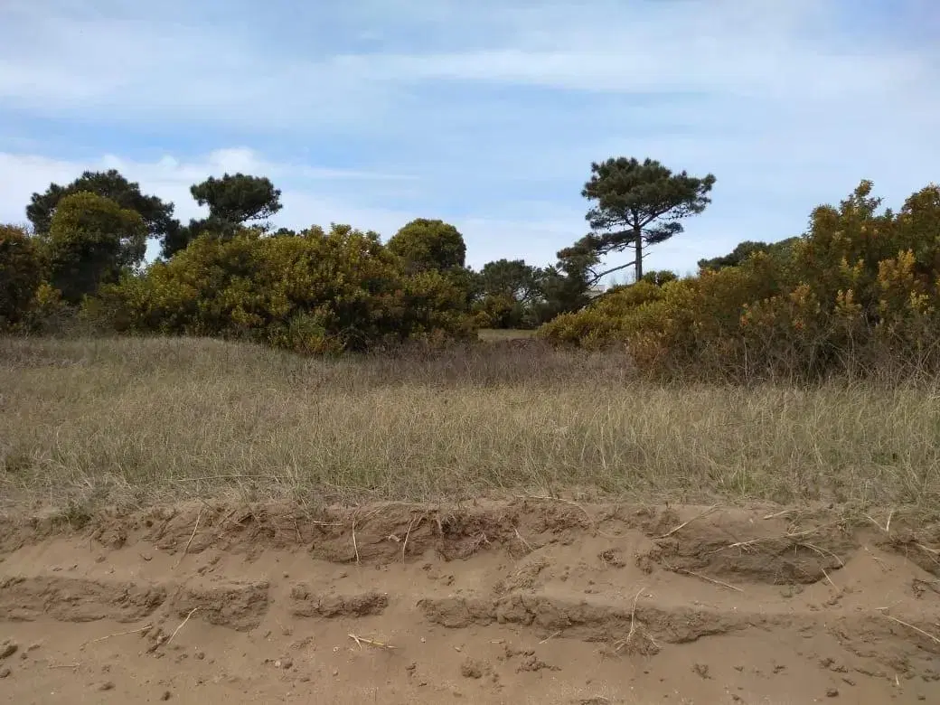 Terreno en venta - 765mts2 - Villa Gesell 2