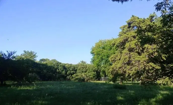 Terreno en venta - 1.383mts2 - Villa Elisa 2