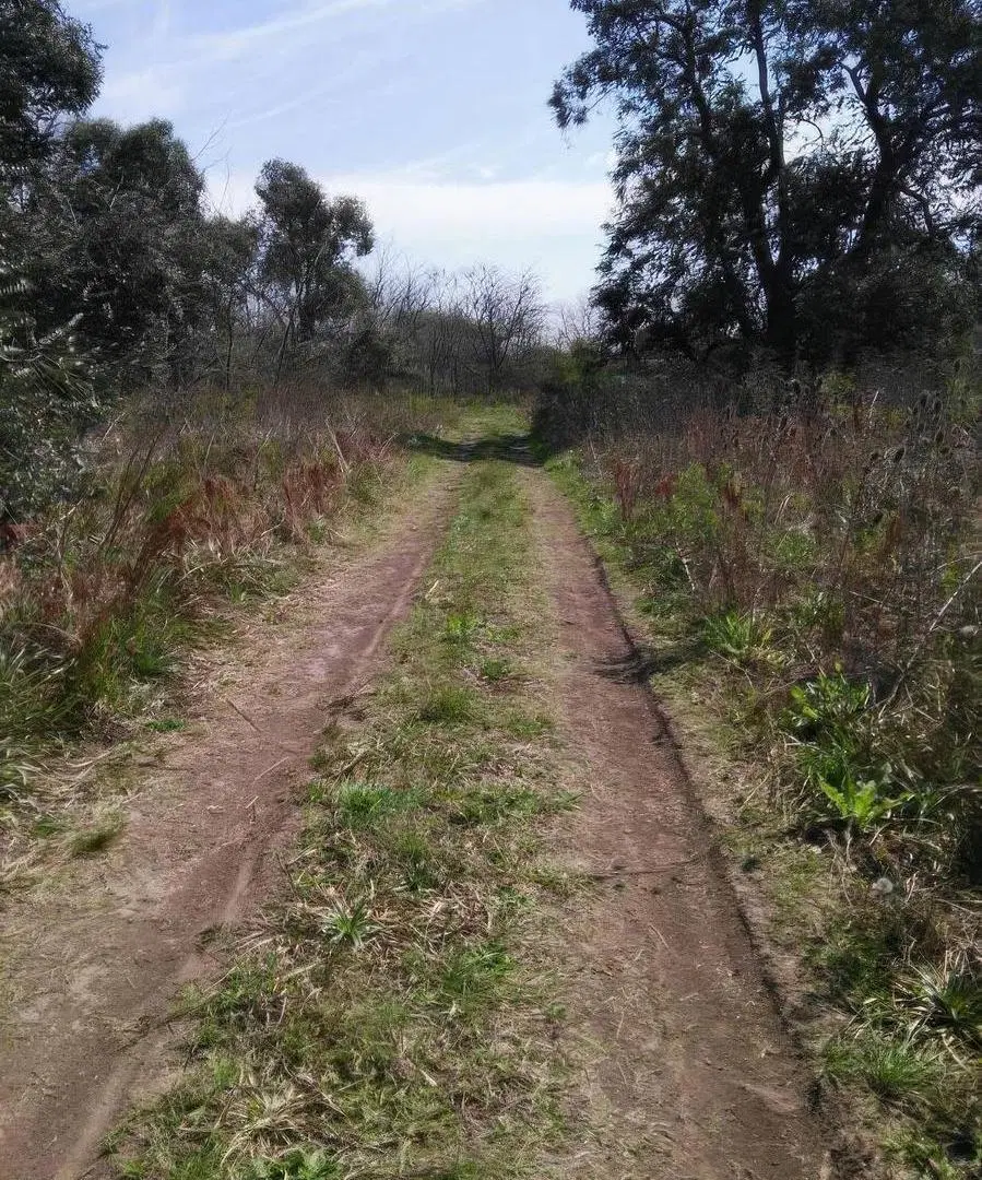 Terrenos en venta - 850mts2 - El Molino, Pavón 5