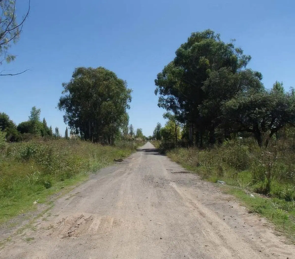 Terrenos en venta - 850mts2 - El Molino, Pavón 2