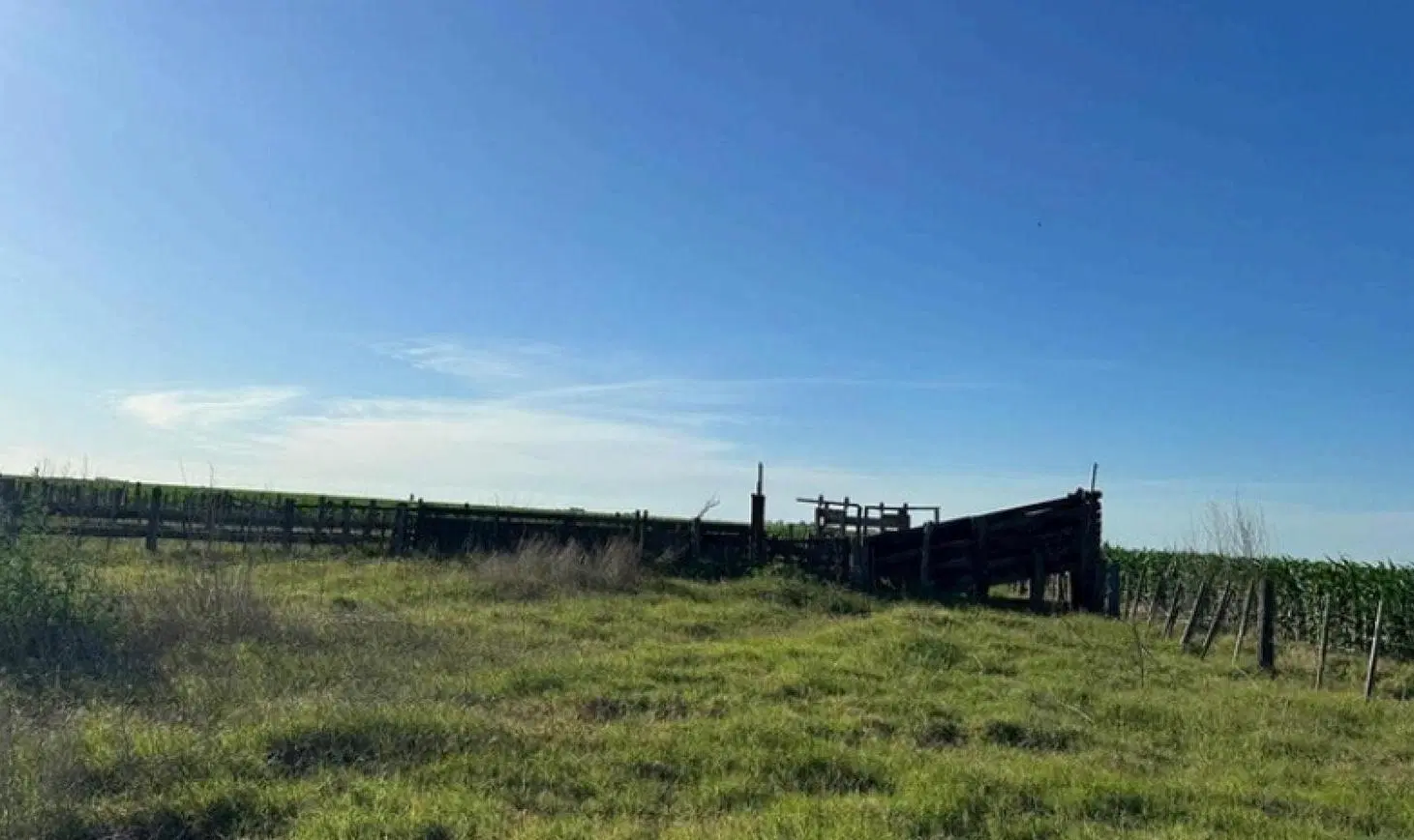 Campo en venta - 2.623.761Mts2 - Gonzalez Moreno 3