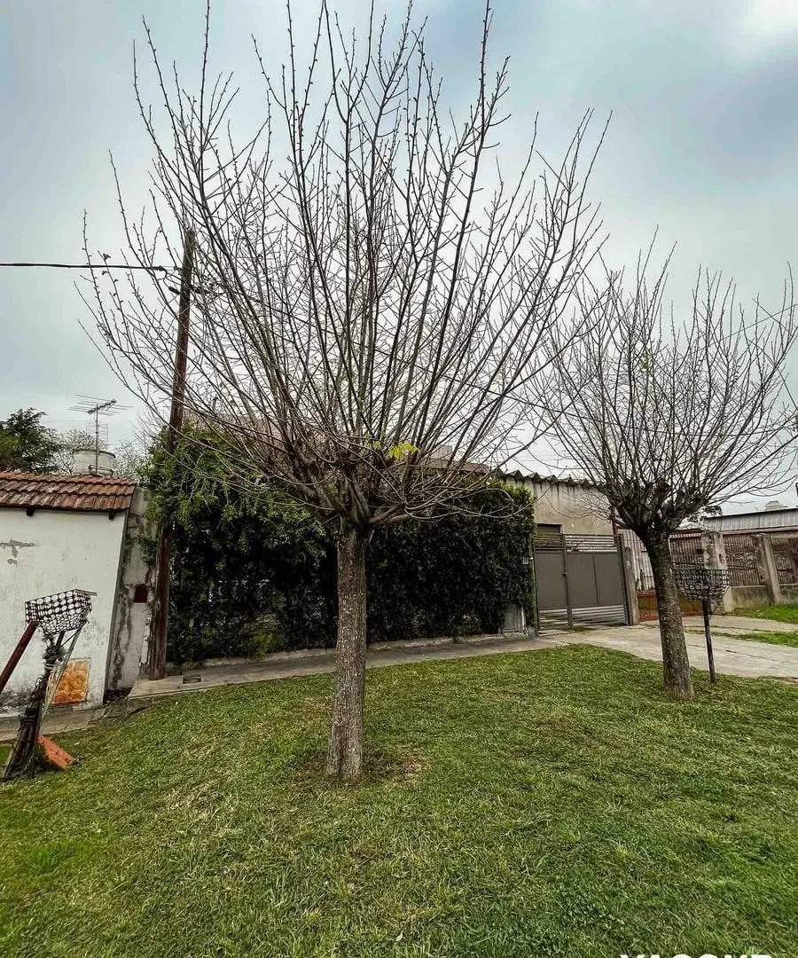 Casa en venta - 3 Dormitorios 3 Baños - 300Mts2 - Lisandro Olmos 4