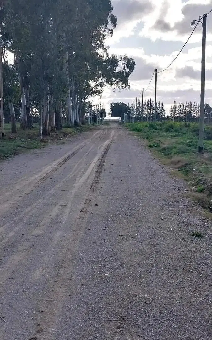 Terreno en venta - 420Mts2 - Abasto, La Plata 4