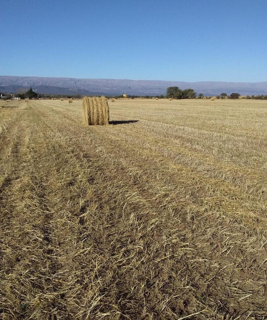 Campo en venta - 193.000Mts2 - Mina Clavero