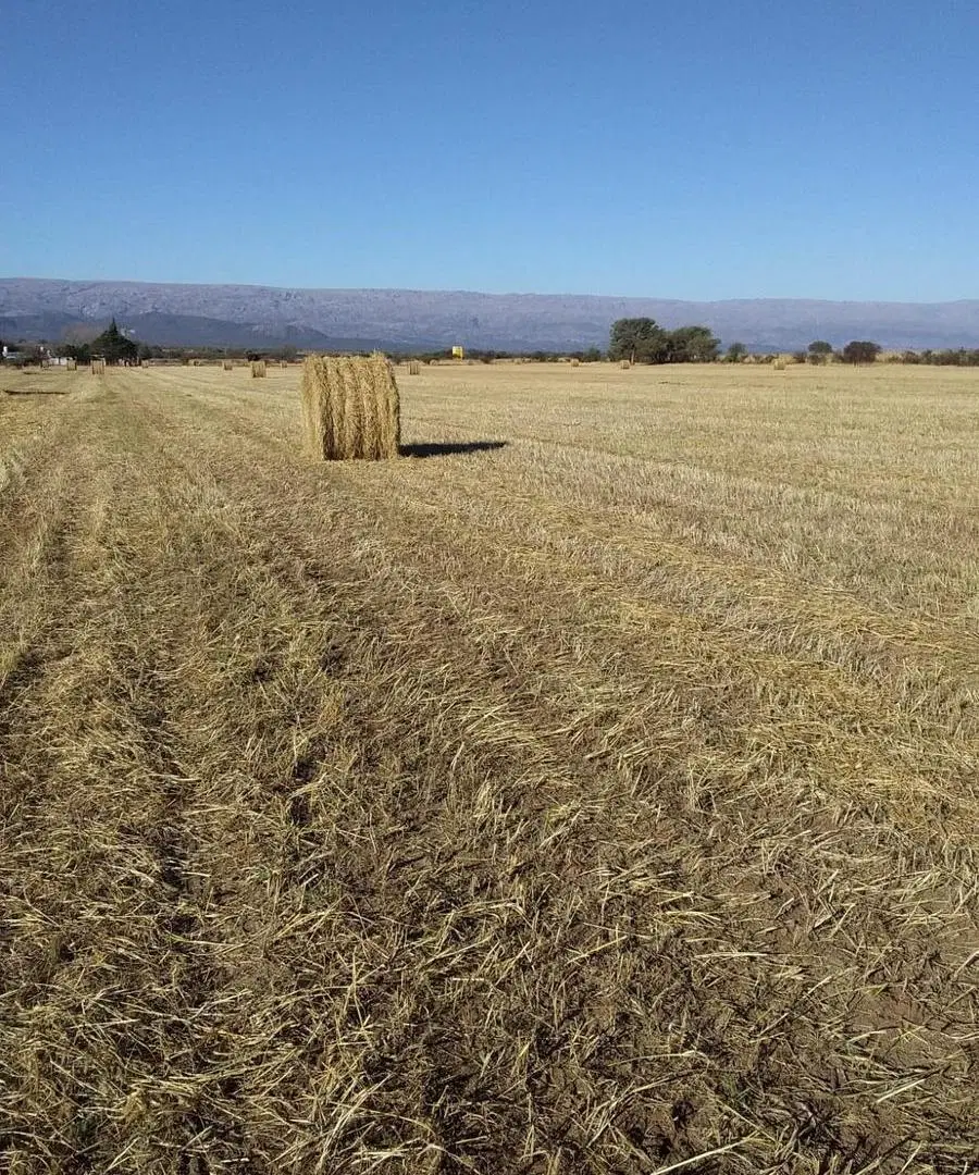 Campo en venta - 193.000Mts2 - Mina Clavero 3