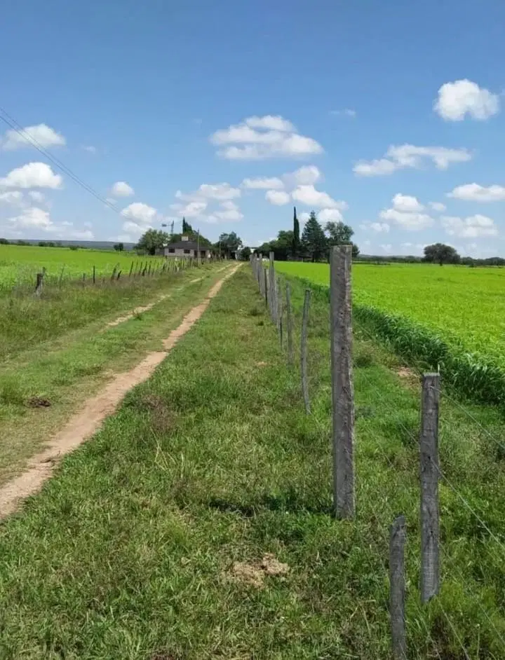 Campo en venta - 193.000Mts2 - Mina Clavero 2